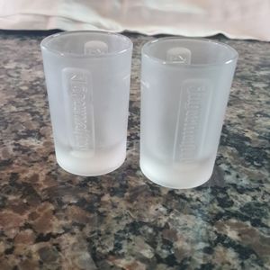 Set of 2 jagermeister 1 oz shot frosted glasses